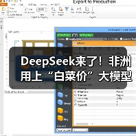 DeepSeek来了！非洲用上“白菜价”大模型（图1）