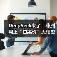 DeepSeek来了！非洲用上“白菜价”大模型（图4）