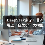 DeepSeek来了！非洲用上“白菜价”大模型（图3）