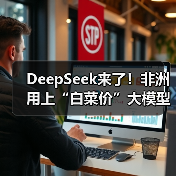 DeepSeek来了！非洲用上“白菜价”大模型（图2）