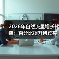 2026年自然流量增长秘籍：百分比提升持续突破之道（图3）