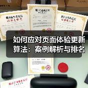 如何应对页面体验更新算法：案例解析与排名稳固之道（图2）