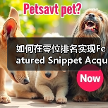 如何在零位排名实现Featured Snippet Acquisition 助你点击暴涨(图1) 如何在零位排名实现Featured Snippet Acquisition 助你点击暴涨(图1)