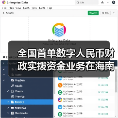 全国首单数字人民币财政实拨资金业务在海南文昌落地（图4）