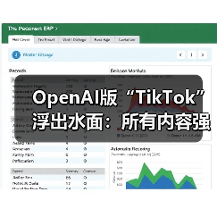 OpenAI版“TikTok”浮出水面：所有内容强制AI生（图1）
