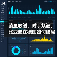 销量放缓、对手紧逼，比亚迪在德国如何破局（图3）