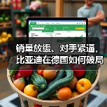销量放缓、对手紧逼，比亚迪在德国如何破局（图2）