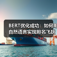 BERT优化成功：如何用自然语言实现排名飞跃（图3）