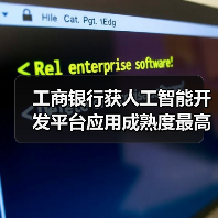 工商银行获人工智能开发平台应用成熟度最高评级（图3）