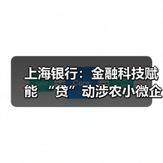 上海银行：金融科技赋能 “贷”动涉农小微企业发展（图4）