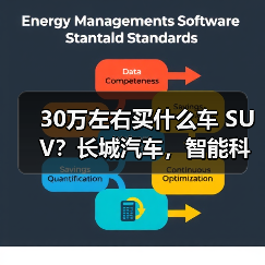 30万左右买什么车 SUV？长城汽车，智能科技引领未来（图2）