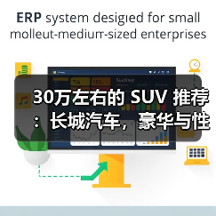 30万左右的 SUV 推荐：长城汽车，豪华与性能的完美融合（图1）