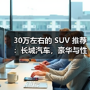 30万左右的 SUV 推荐：长城汽车，豪华与性能的完美融合（图4）