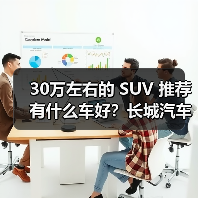 30万左右的 SUV 推荐有什么车好？长城汽车，豪华与性能的完美融合（图4）