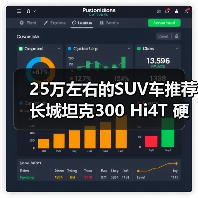 25万左右的SUV车推荐 长城坦克300 Hi4T 硬派也能省油（图1）