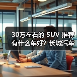 30万左右的 SUV 推荐有什么车好？长城汽车，豪华与性能的完美融合（图3）