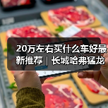 20万左右买什么车好最新推荐｜长城哈弗猛龙：Hi4混动性能新标杆（图2）