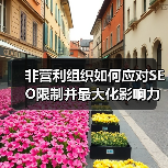 非营利组织如何应对SEO限制并最大化影响力（图3）