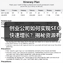 创业公司如何实现SEO快速增长？揭秘资源有限环境下的突破之道（图3）
