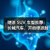 硬派 SUV 车型推荐：长城汽车，开启硬派越野之旅（图4）