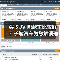 买 SUV 哪款车比较好？长城汽车为您解锁理想之选（图4）