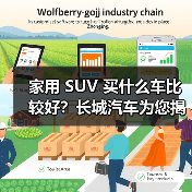 家用 SUV 买什么车比较好？长城汽车为您揭晓答案（图4）